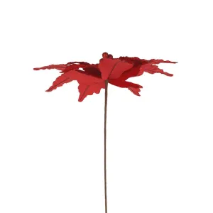 Large Red Poinsettia Stem 60x50cm