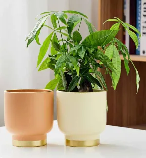 Modern Chic Ceramic Planters – Peach & Cream with Gold Base