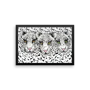 SNOW CHEETAHS Framed poster